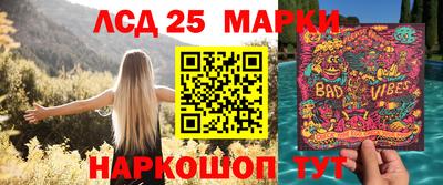 стаф Новодвинск