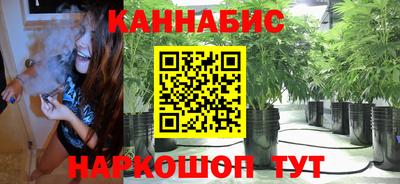 амф Новозыбков