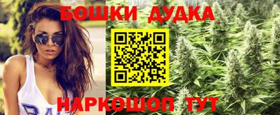 каннабис Новокубанск