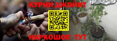 амф Новозыбков