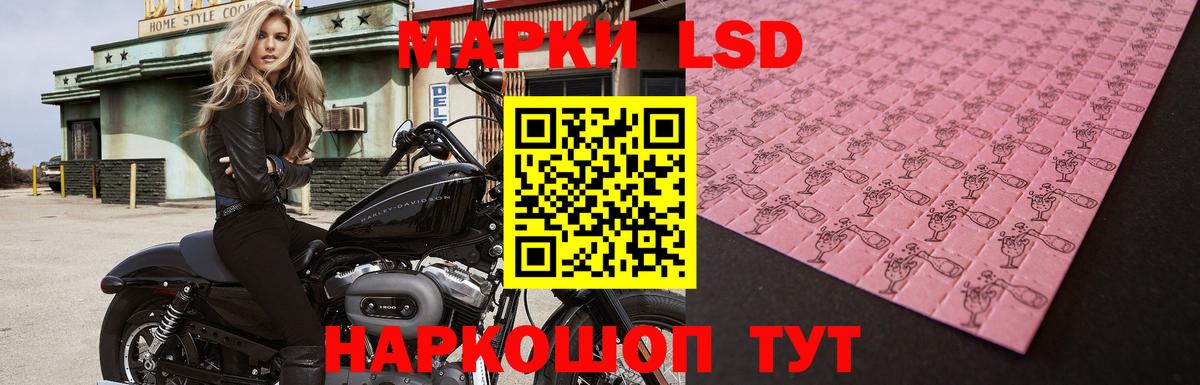 Северск  Лсд 25 экстази кислота  Лсд 25 экстази ecstasy  Вход с VPN 