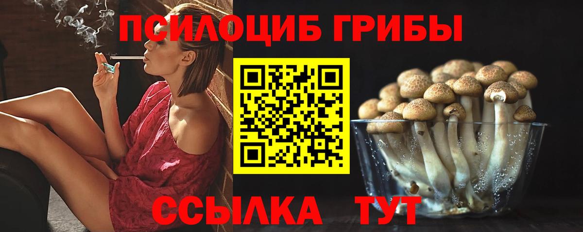 Галлюциногенные грибы Cubensis  Вход с VPN  Северск 