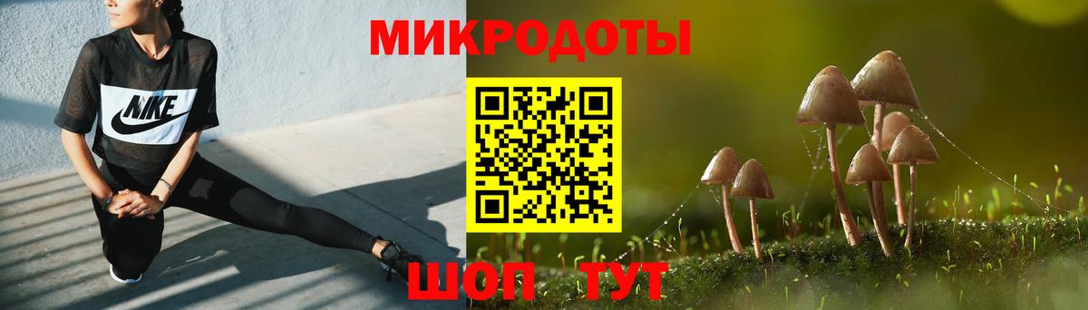 Галлюциногенные грибы GOLDEN TEACHER Северск